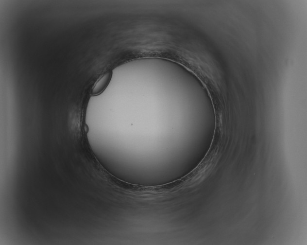 X0000101191300200806270839