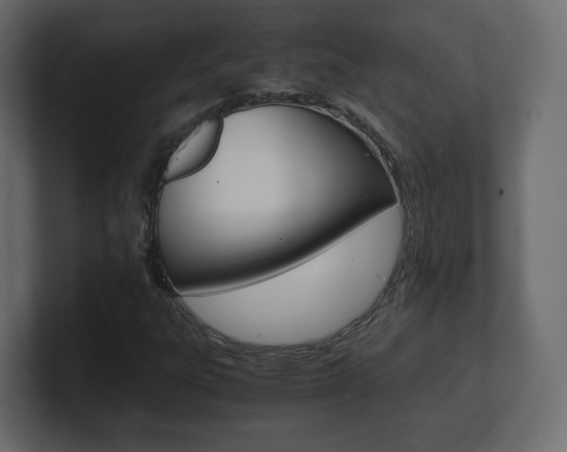 X0000101191303200806270839