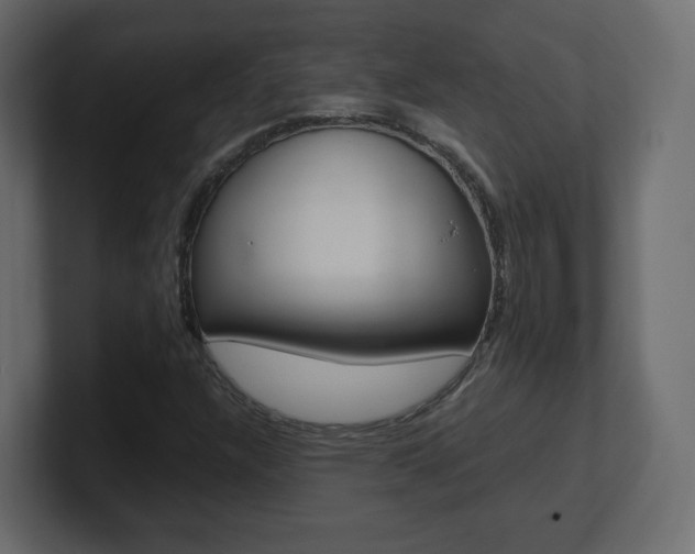 X0000101191304200806270839