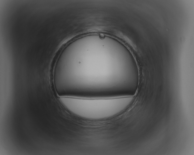 X0000101191308200806270839