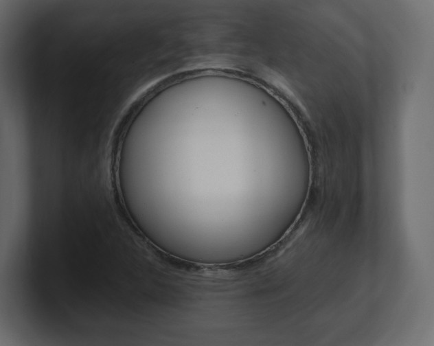 X0000101191312200806270839