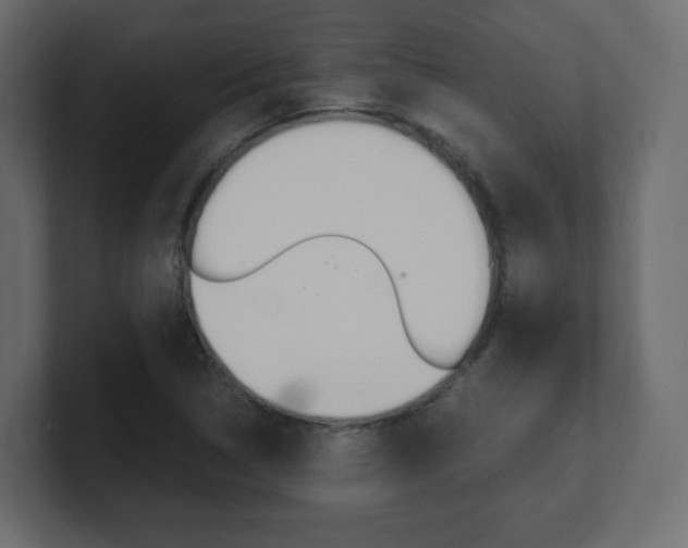 X0000101191314200806270839