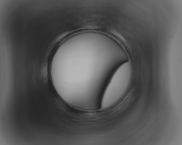 X0000101191315200806270839