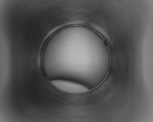 X0000101191316200806270839