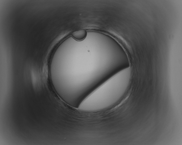 X0000101191317200806270839