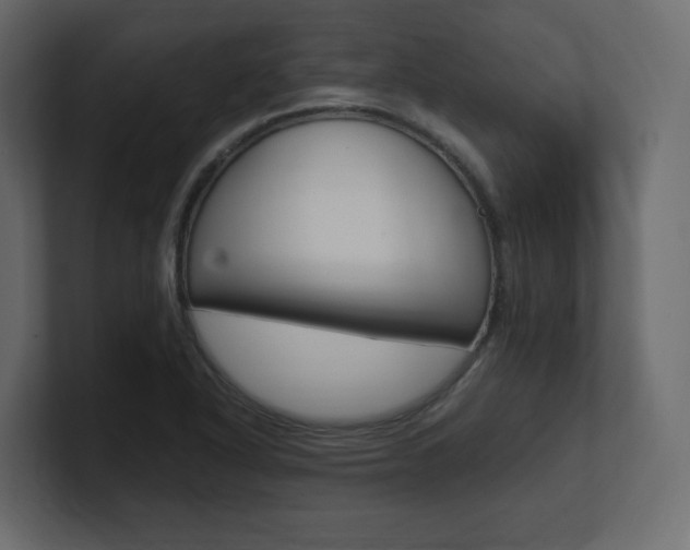 X0000101191318200806270839