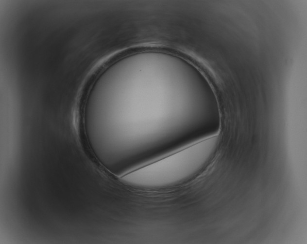 X0000101191319200806270839