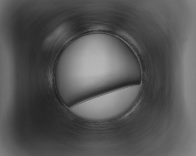 X0000101191321200806270839