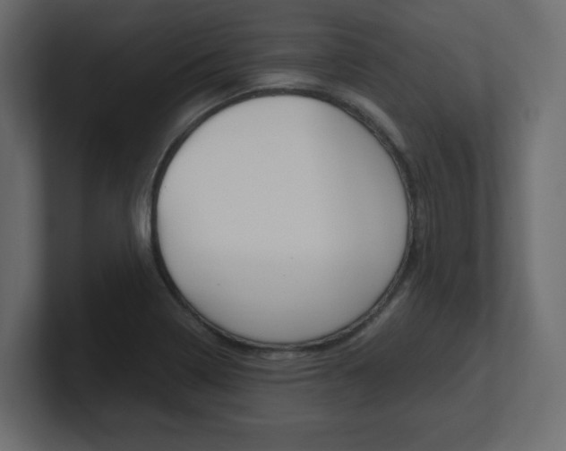 X0000101191322200806270839