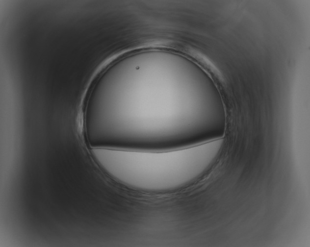 X0000101191324200806270839