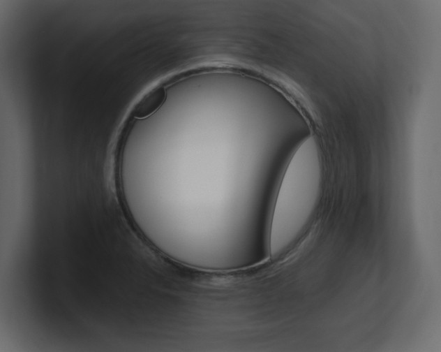 X0000101191326200806270839
