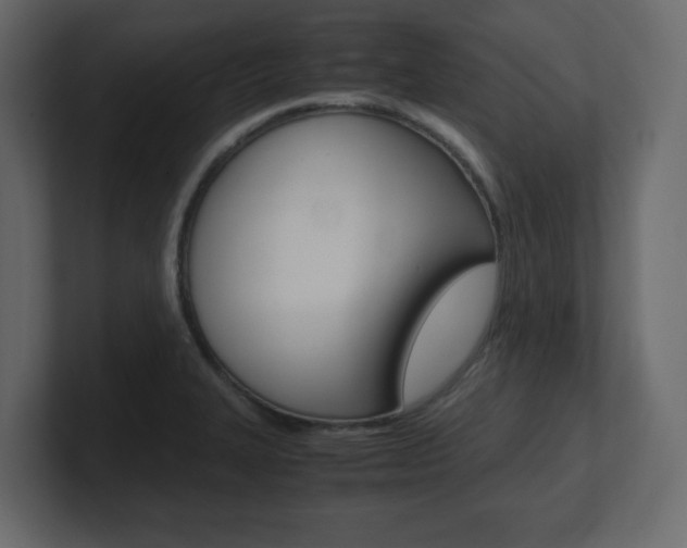 X0000101191327200806270839