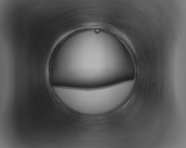 X0000101191328200806270839