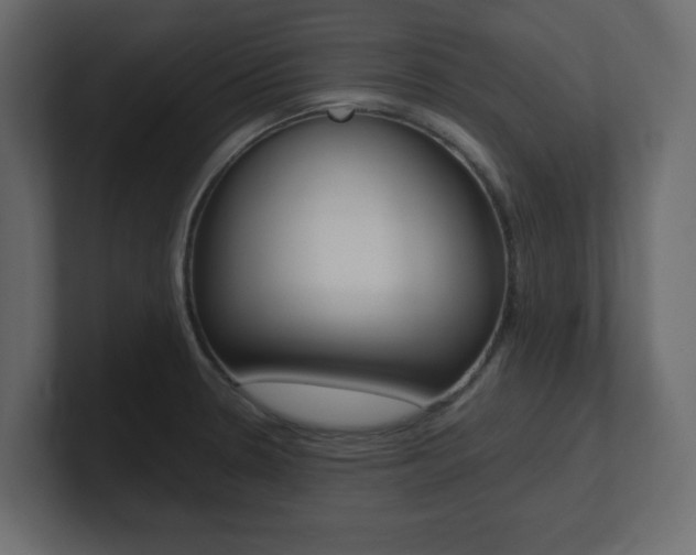 X0000101191330200806270839