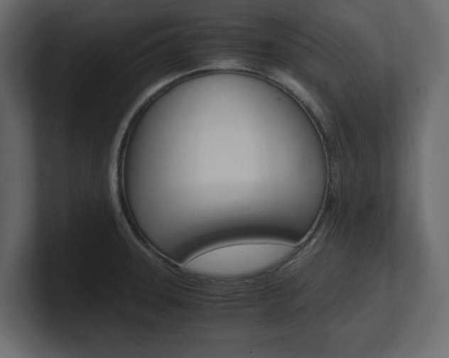X0000101191331200806270839