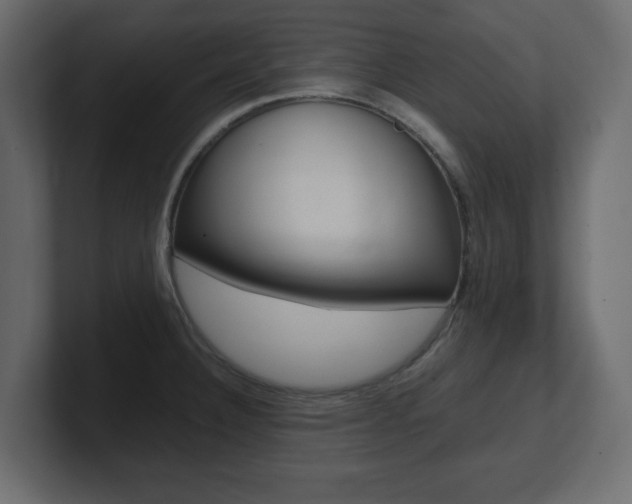 X0000101191332200806270839