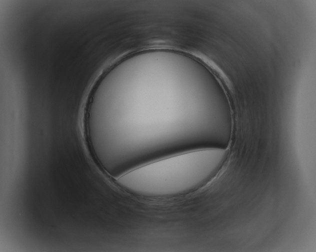 X0000101191333200806270839