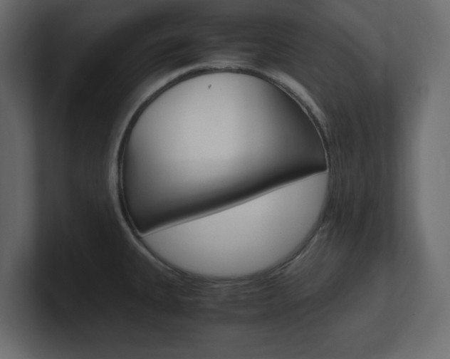 X0000101191335200806270839