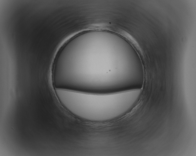 X0000101191336200806270839