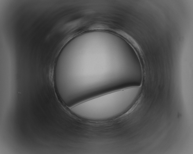 X0000101191337200806270839