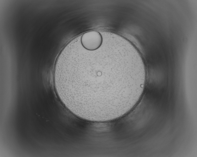 X0000101191338200806270839