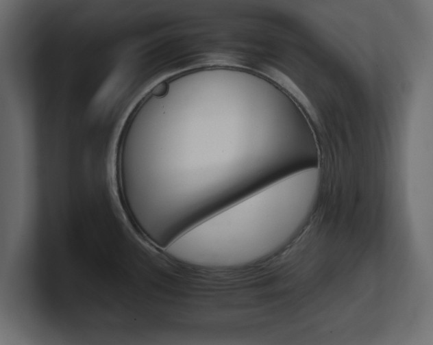 X0000101191339200806270839