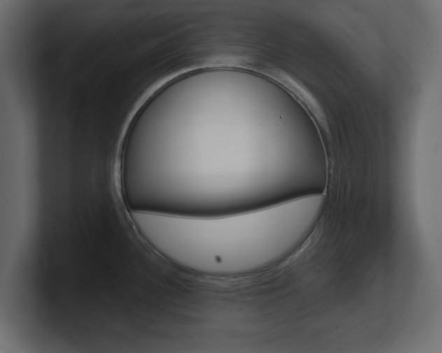 X0000101191340200806270839