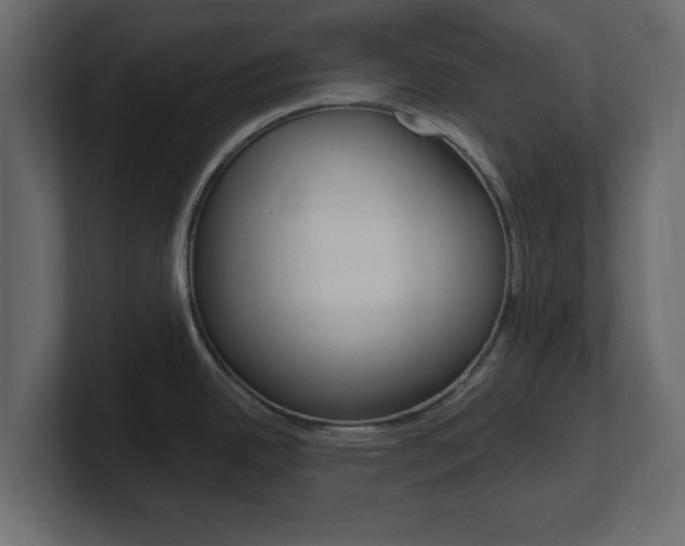 X0000101191342200806270839