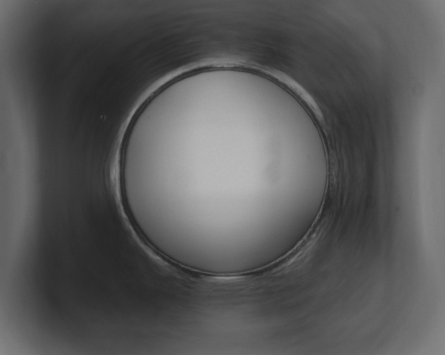 X0000101191343200806270839