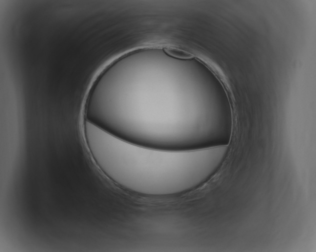 X0000101191344200806270839
