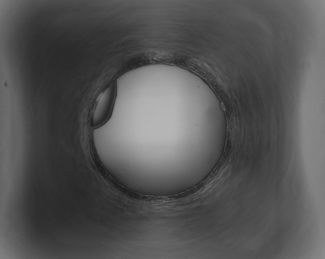 X0000101191345200806270839