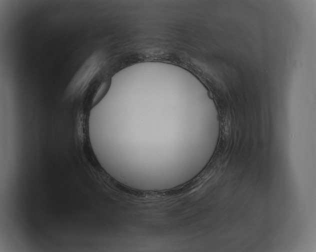 X0000101191346200806270839