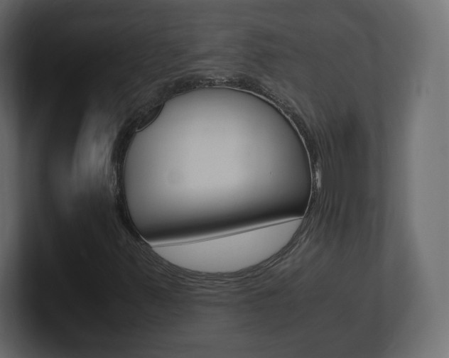 X0000101191347200806270839