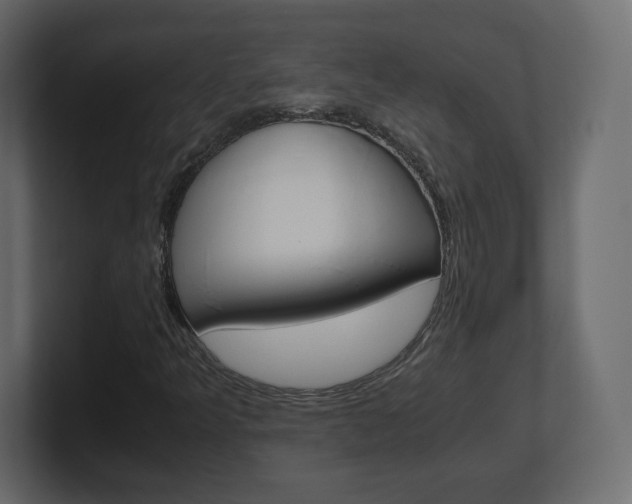 X0000101191349200806270839