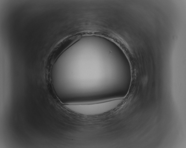 X0000101191352200806270839