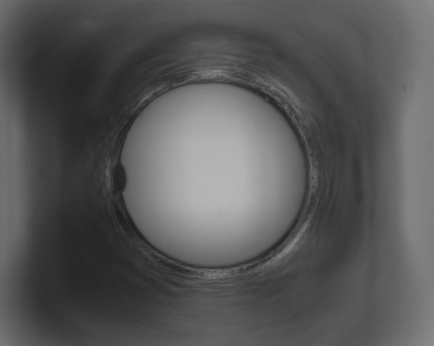 X0000101191353200806270839