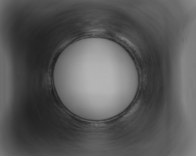 X0000101191354200806270839