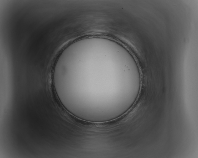 X0000101191355200806270839