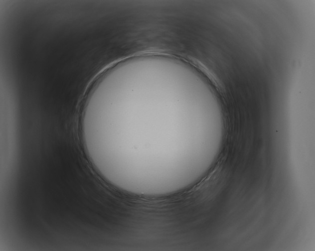 X0000101191356200806270839