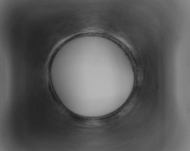 X0000101191358200806270839