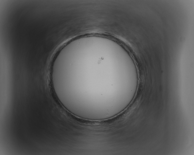 X0000101191359200806270839