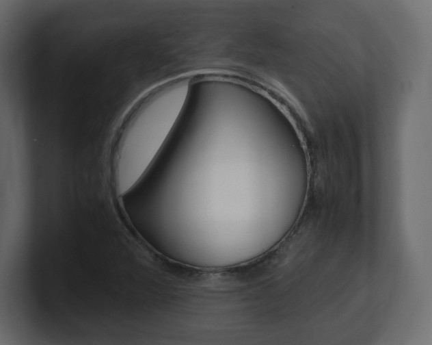 X0000101191360200806270839