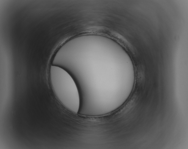 X0000101191362200806270838