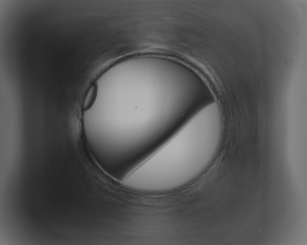 X0000101191363200806270838