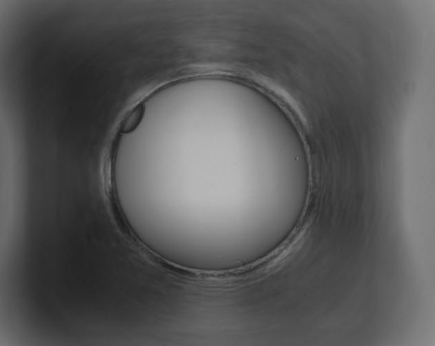 X0000101191365200806270838