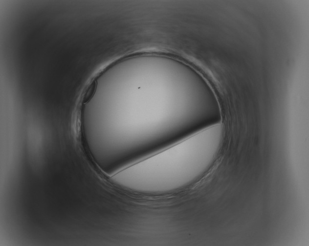 X0000101191367200806270838