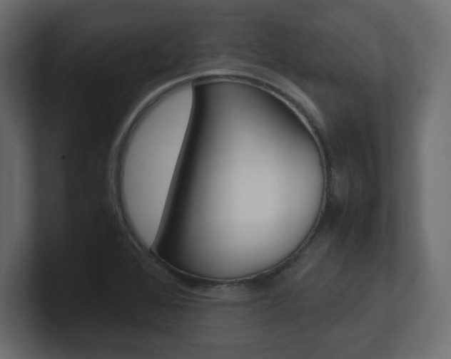 X0000101191368200806270838