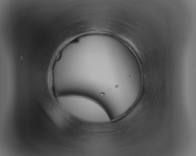 X0000101191371200806270838