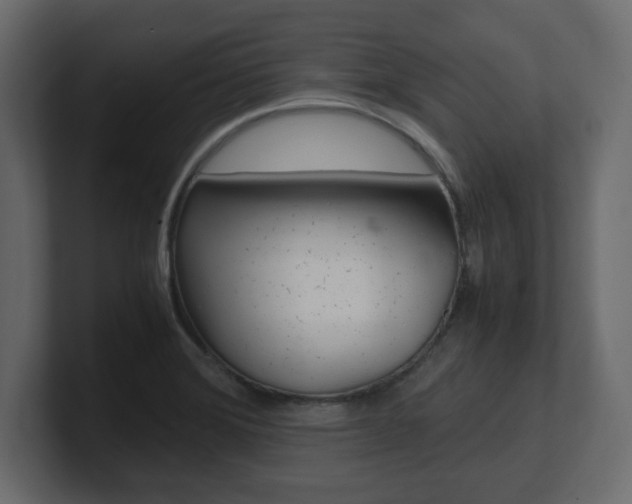 X0000101191372200806270838