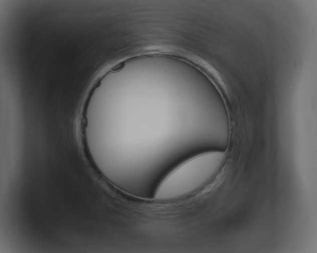X0000101191373200806270838